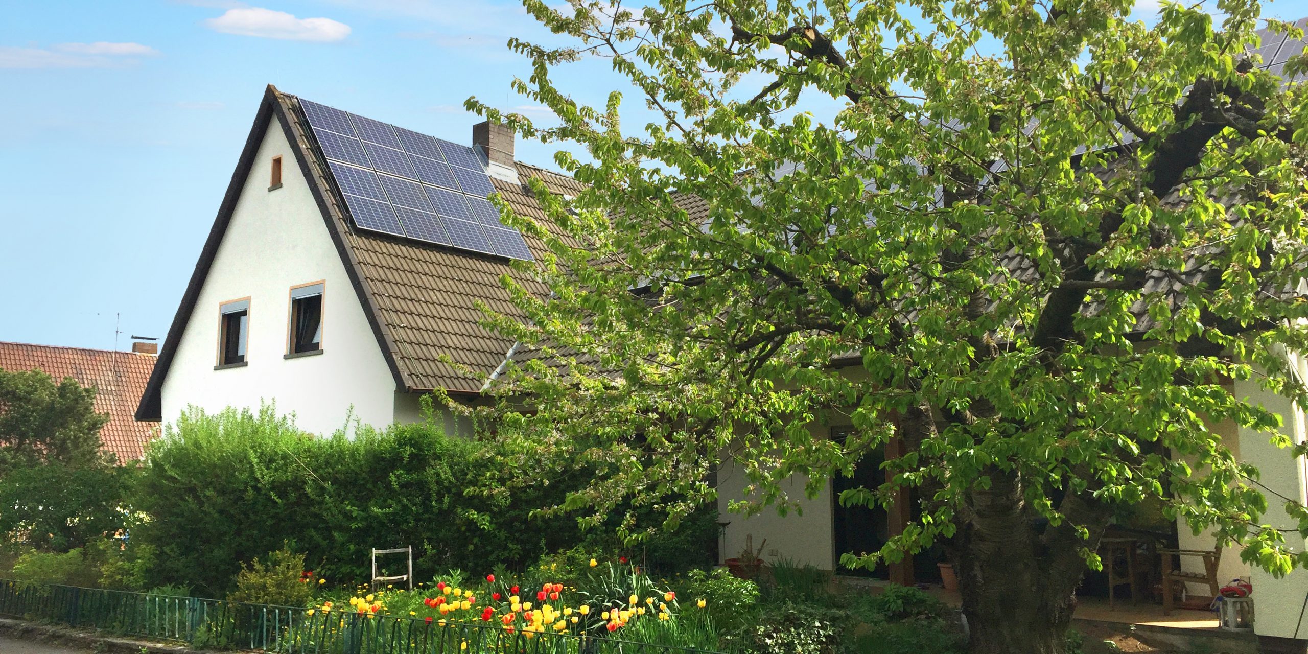 IWO-Pressefoto_Alsfeld