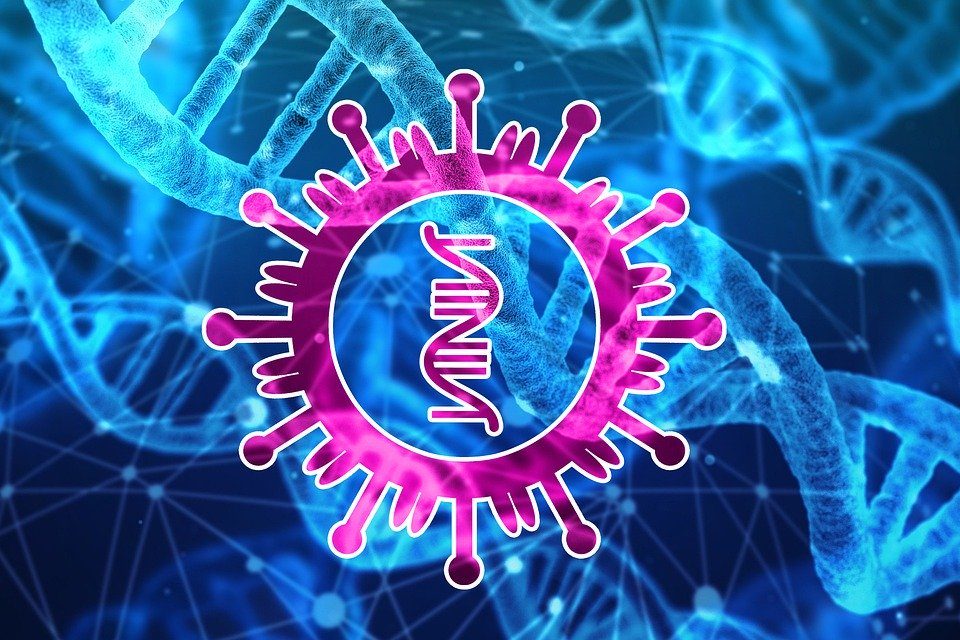Coronavirus-Schematische-Darstellung