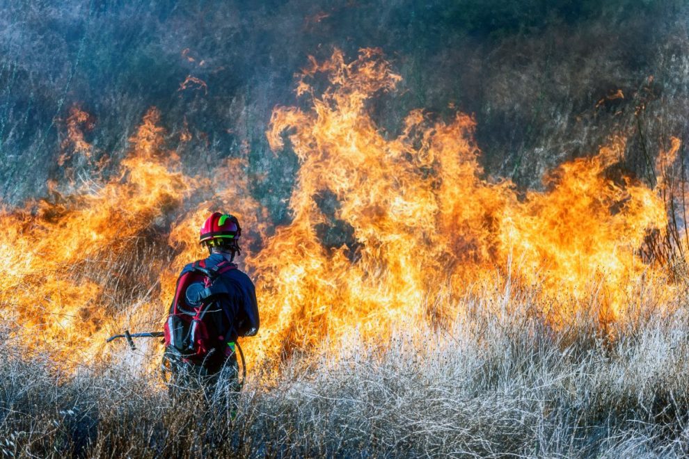 Waldbrand_Brand_Feuer