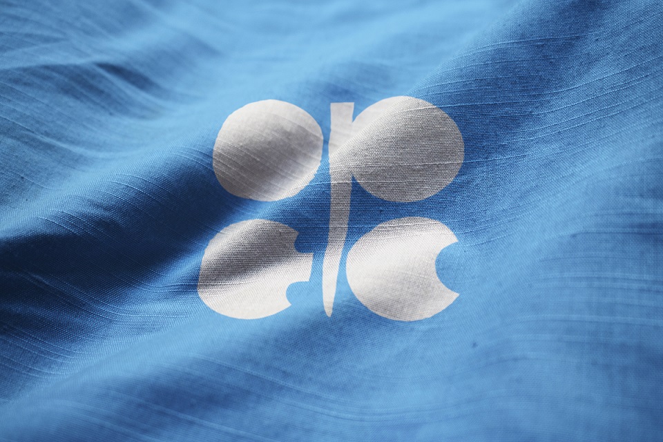 OPEC_Flagge