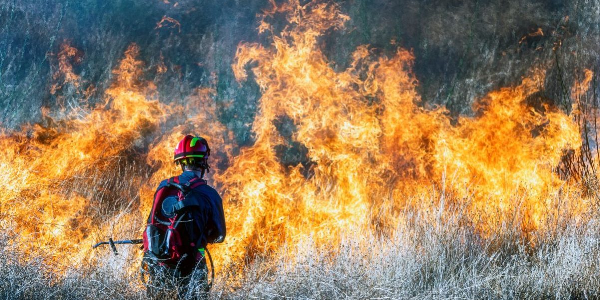Waldbrand_Brand_Feuer